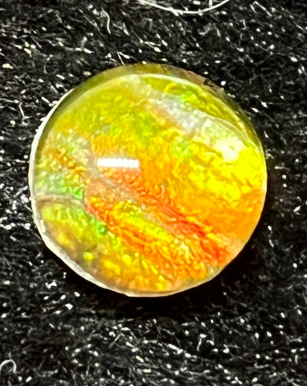 Ammolite Cabs, 10mm round, quality with lots of fire