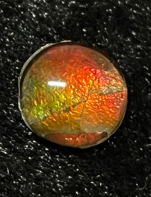 Ammolite Cabs, 10mm round, quality with lots of fire