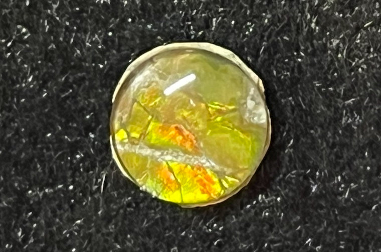 Ammolite Cabs, 10mm round, quality with lots of fire