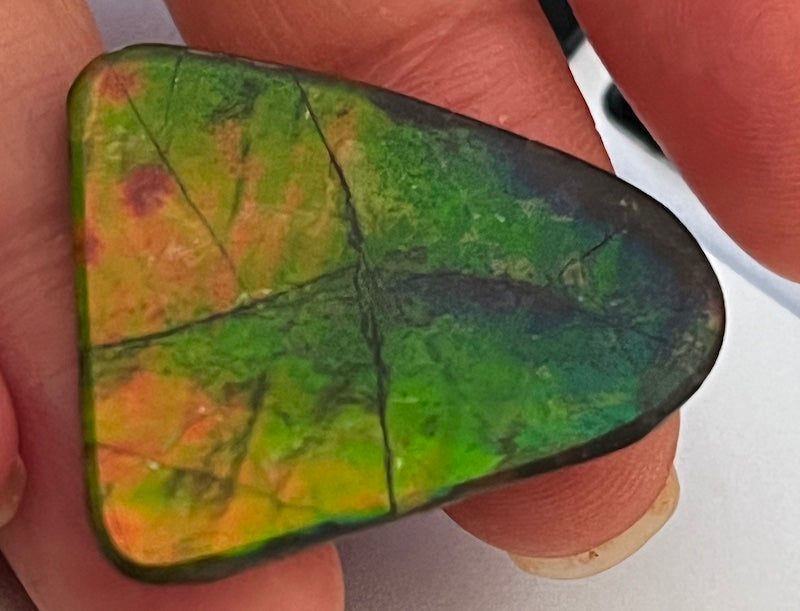 Ammolite Cab, freeform, 28 x 23 mm
