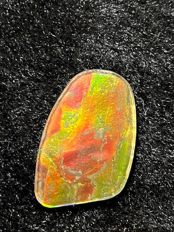 Ammolite Cab, freeform, 30 x 18 mm