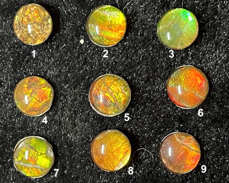 Ammolite Cabs, 10mm round, quality with lots of fire