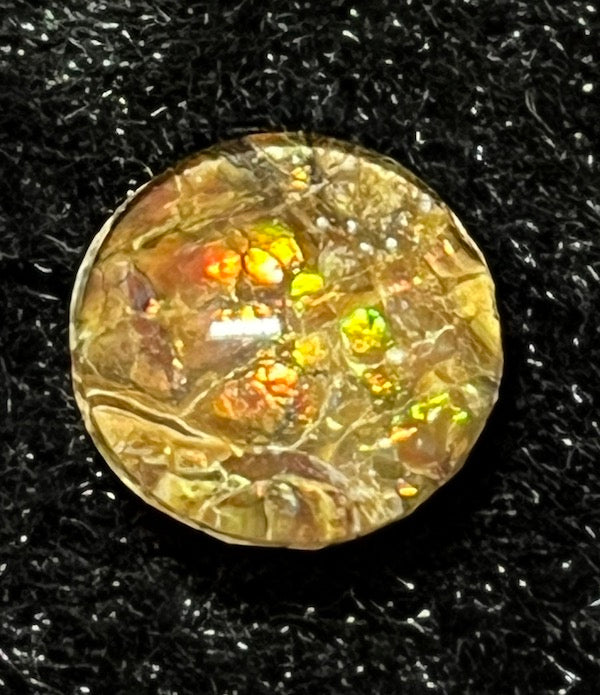 Ammolite Cabs, 10mm round, quality with lots of fire