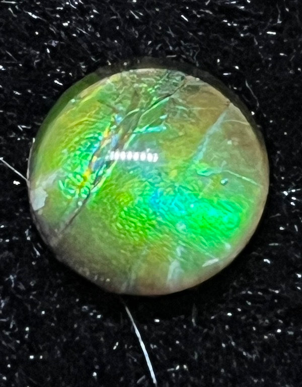 Ammolite Cabs, 10mm round, quality with lots of fire