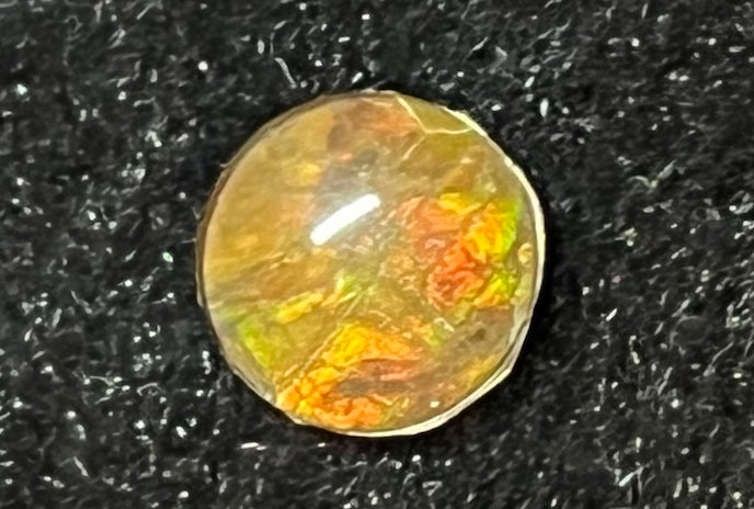 Ammolite Cabs, 10mm round, quality with lots of fire