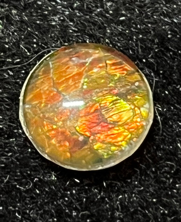 Ammolite Cabs, 10mm round, quality with lots of fire