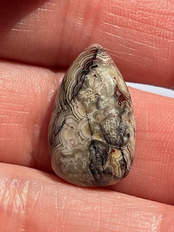 Crazy Lace Agate & Ocean Jasper Cabochons