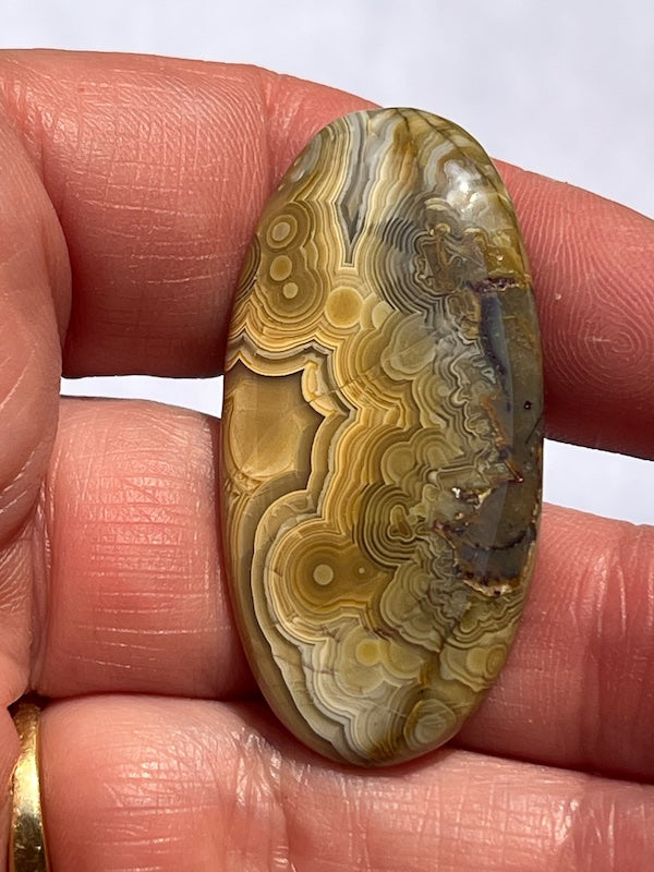 Crazy Lace Agate & Ocean Jasper Cabochons