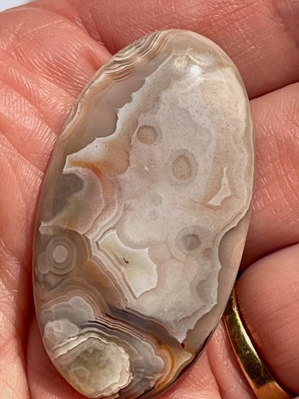 Crazy Lace Agate & Ocean Jasper Cabochons