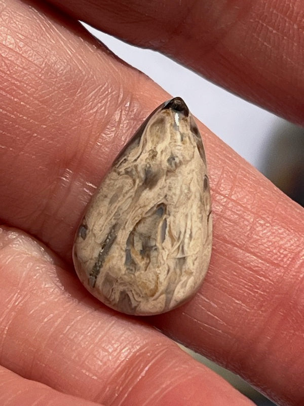 Crazy Lace Agate & Ocean Jasper Cabochons