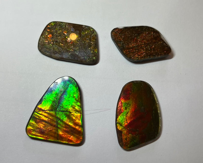 Ammolite Cab, freeform, 28 x 23 mm