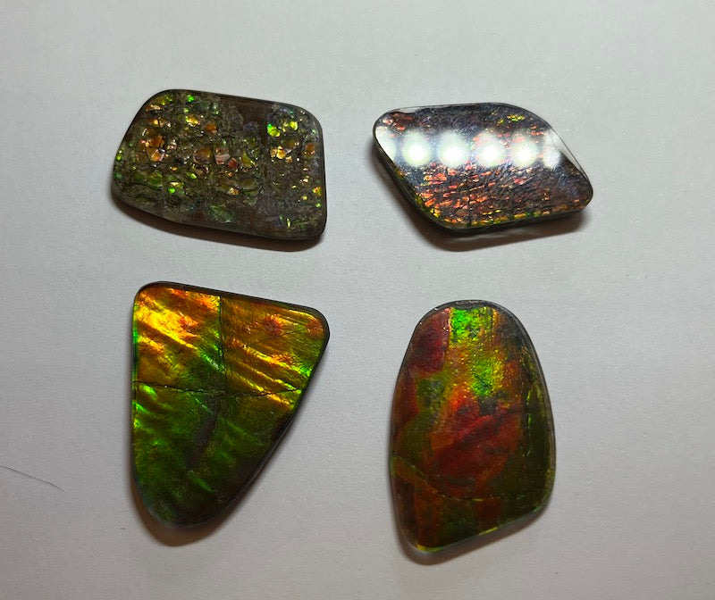 Ammolite Cab, freeform, 28 x 23 mm