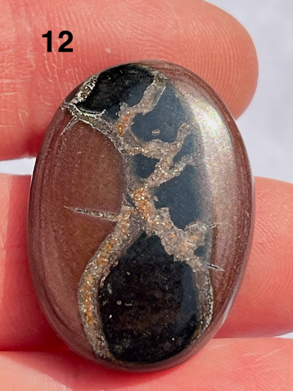 Septarian Cabochons with amazing patterns and crystal veins