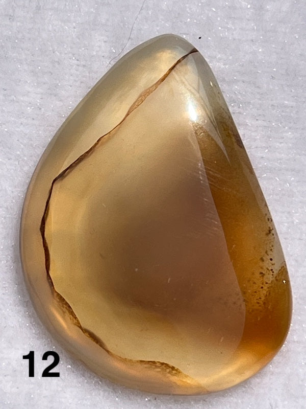 Multi coloured brown lace agate cabochons.