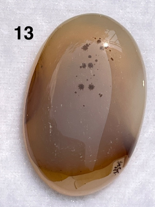 Multi coloured brown lace agate cabochons.