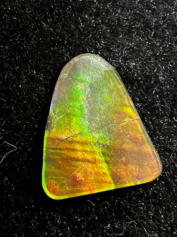Ammolite Cab, freeform, 28 x 23 mm