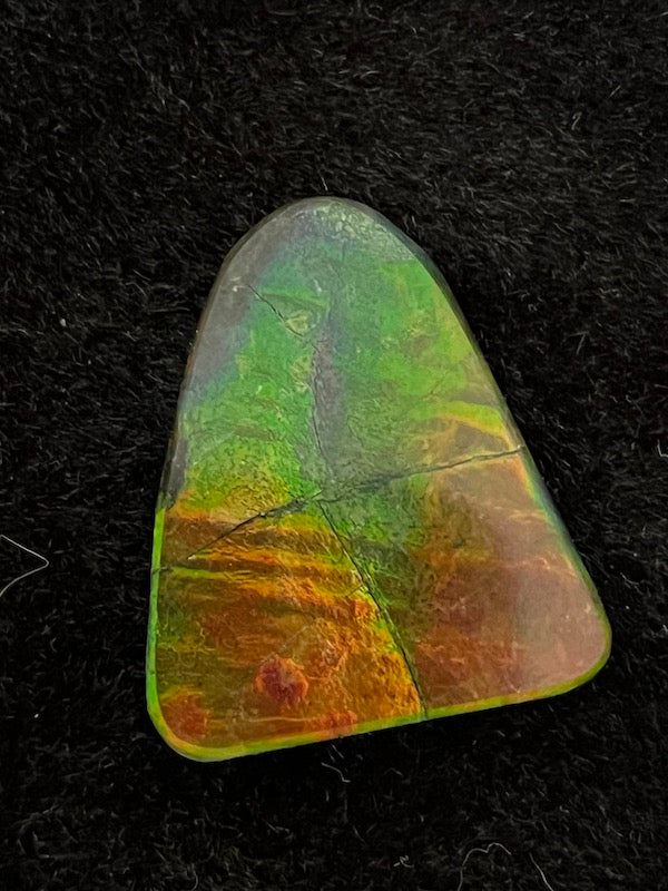 Ammolite Cab, freeform, 28 x 23 mm