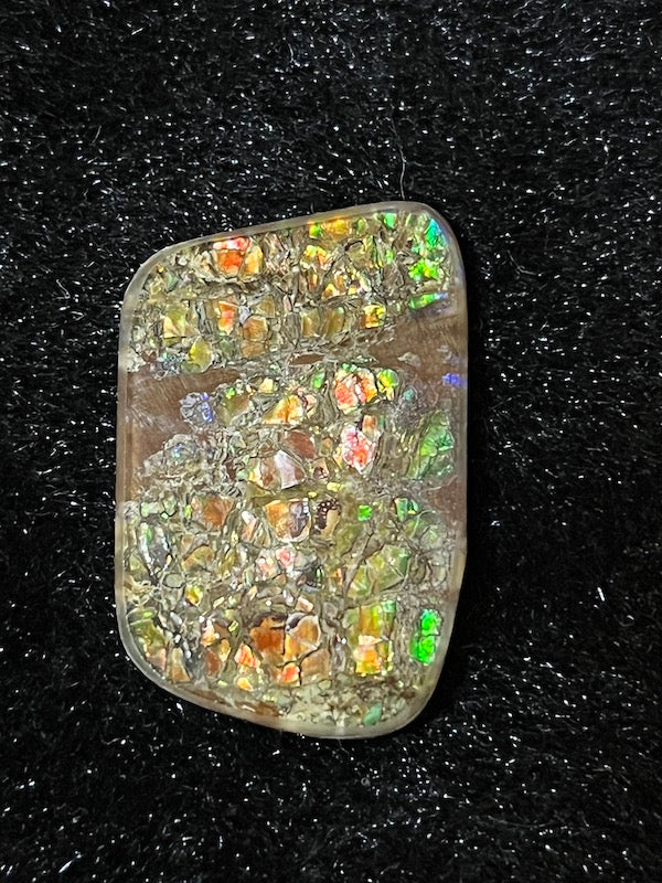 Ammolite Cab, freeform, 27 x 17 mm, dragon skin
