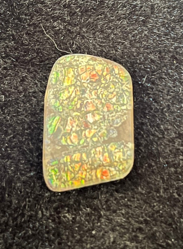 Ammolite Cab, freeform, 27 x 17 mm, dragon skin
