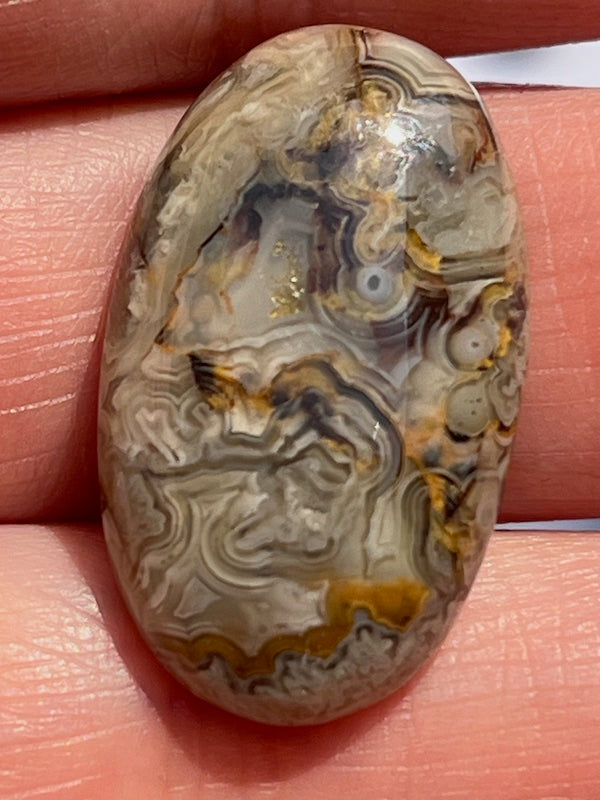 Crazy Lace Agate & Ocean Jasper Cabochons
