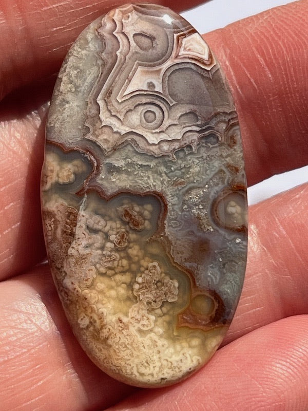 Crazy Lace Agate & Ocean Jasper Cabochons