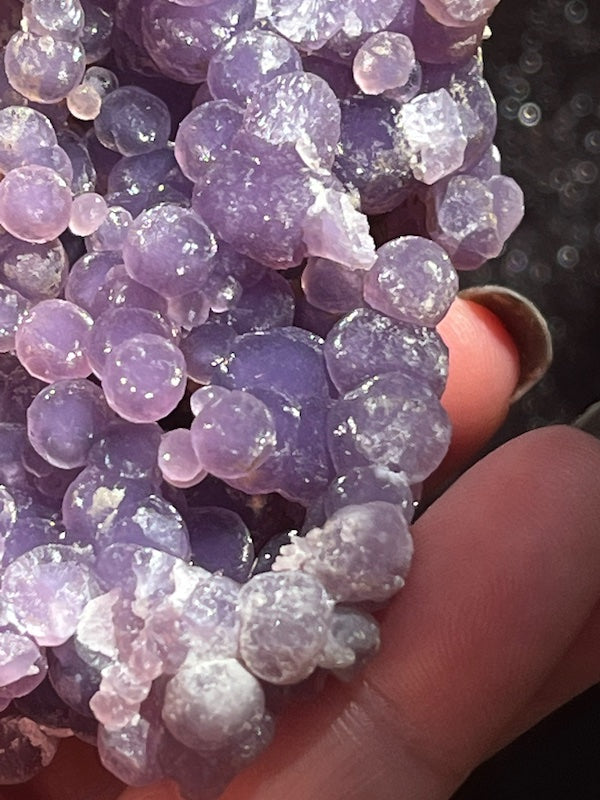 Lots of depth in the dark amethyst grape cluster
