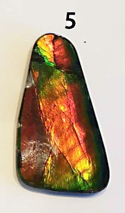Ammolite Cabs, freeform, Large A+ quality with lots of fire at 1/2 price