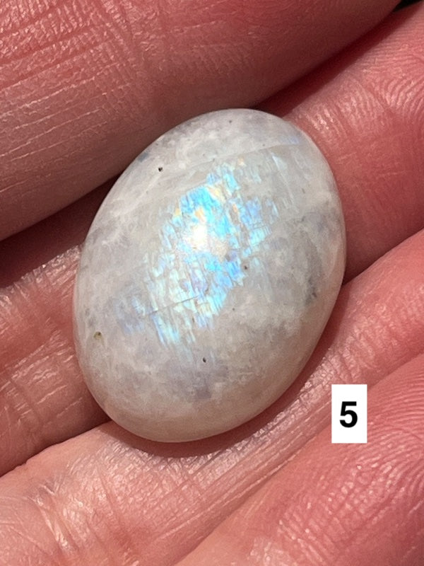 Moonstone, cabochons white with blue flash