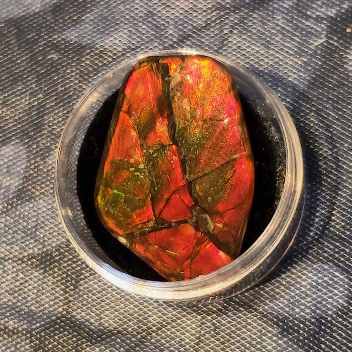 Ammolite Cab, freeform, 19x18mm, brilliant red stone
