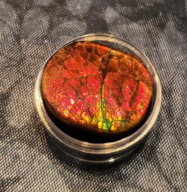 Ammolite Cab, freeform, 24x20 mm, brilliant red