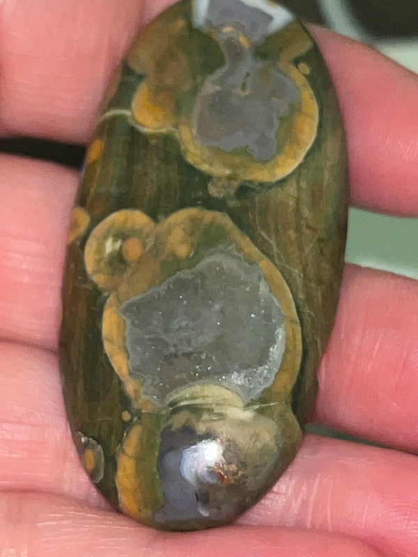 Crazy Lace Agate & Ocean Jasper Cabochons