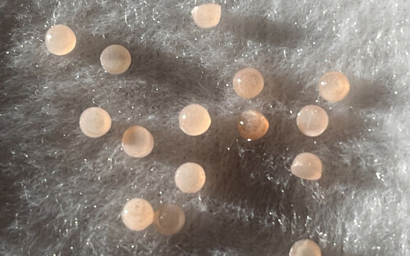 Moonstone Peach Cabochon Round