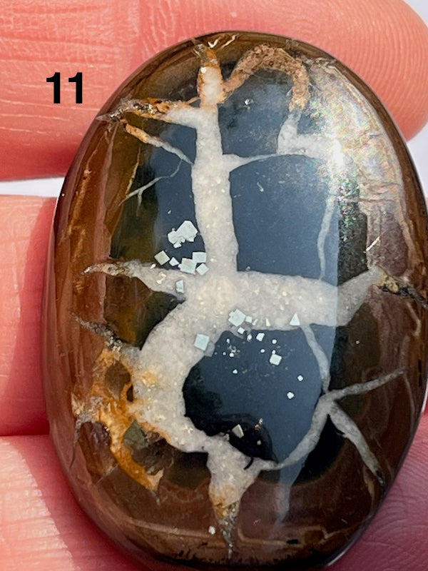 Septarian Cabochons with amazing patterns and crystal veins