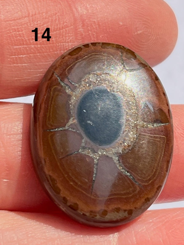 Septarian Cabochons with amazing patterns and crystal veins