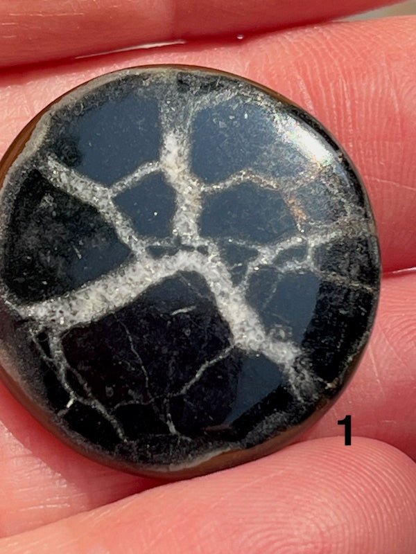 Septarian Cabochons with amazing patterns and crystal veins