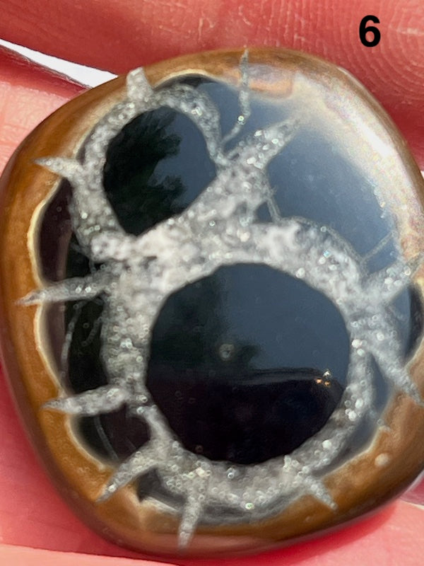 Septarian Cabochons with amazing patterns and crystal veins