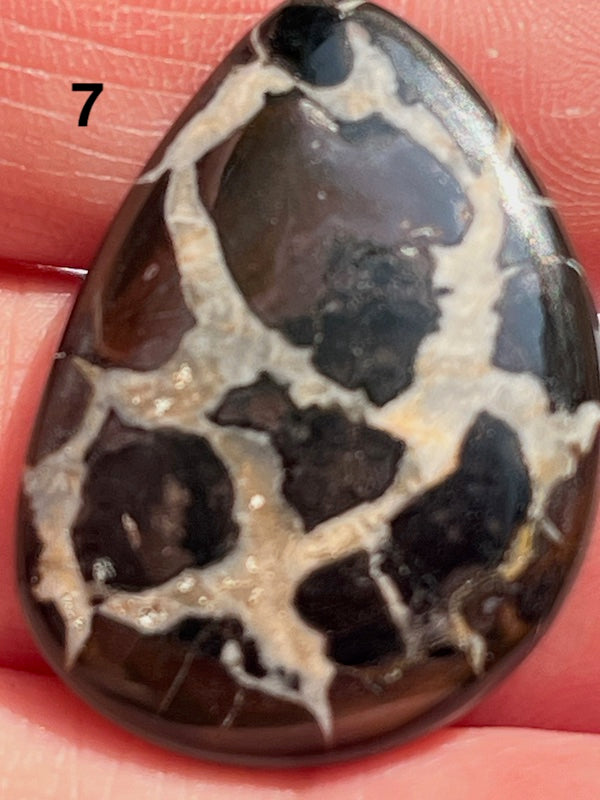 Septarian Cabochons with amazing patterns and crystal veins
