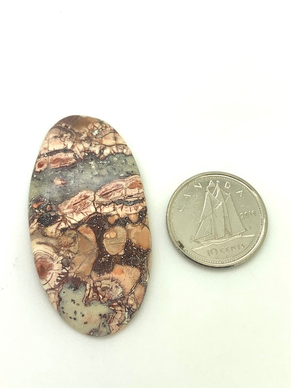 Bird's Eye Jasper - Brings Clarity to Situations