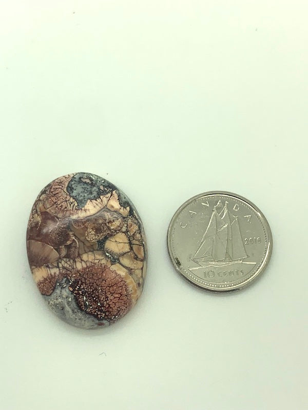 Bird's Eye Jasper - Brings Clarity to Situations