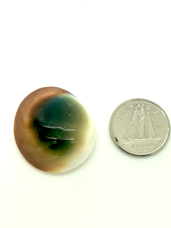 Shiva's Eye shell agate stone,